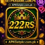 222RS Game