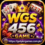WGS456 Game